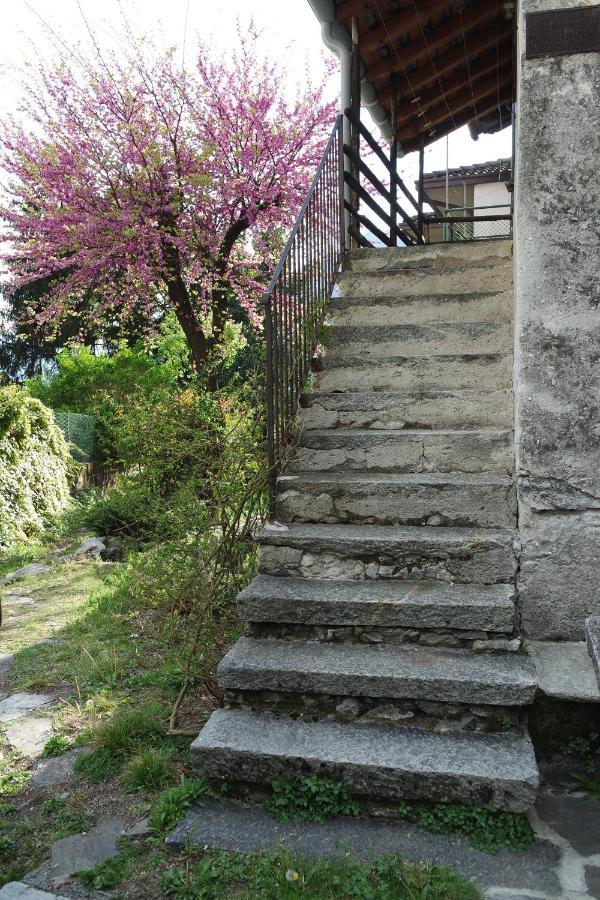 Ca Betulla Villa Novate Mezzola Exterior foto
